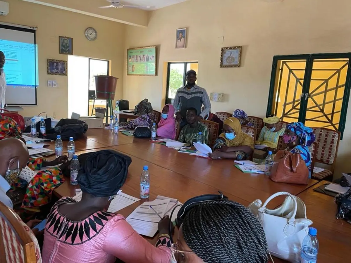 Formations de l'étude « Corona Kele »